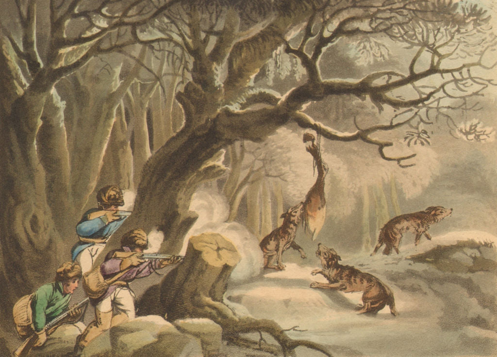 HUNTING. Shooting Wolves in Winter (Field Sports- Edward Orme)  1814 old print